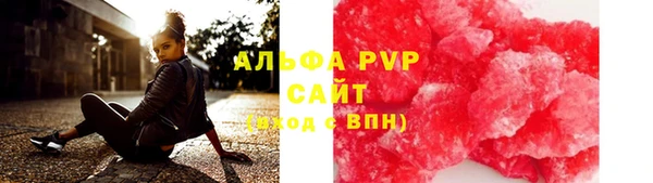 дживик Тайга