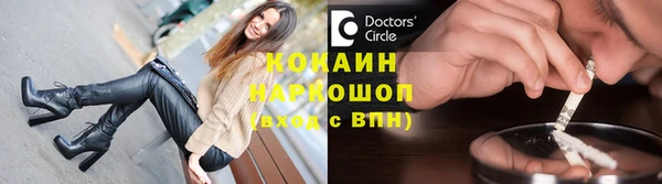 дживик Тайга