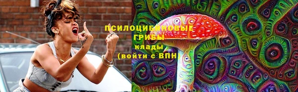 дживик Тайга